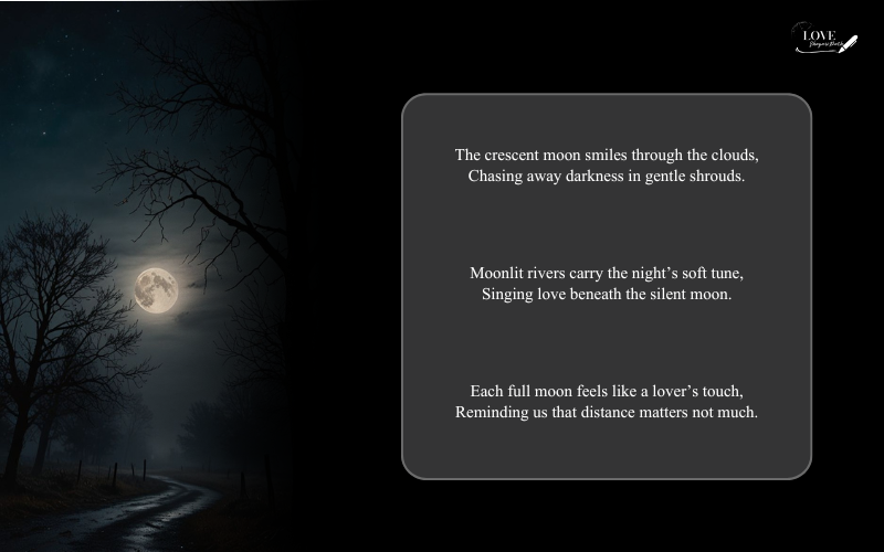 Moon Shayari in English