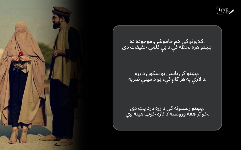 Pashto Shayari